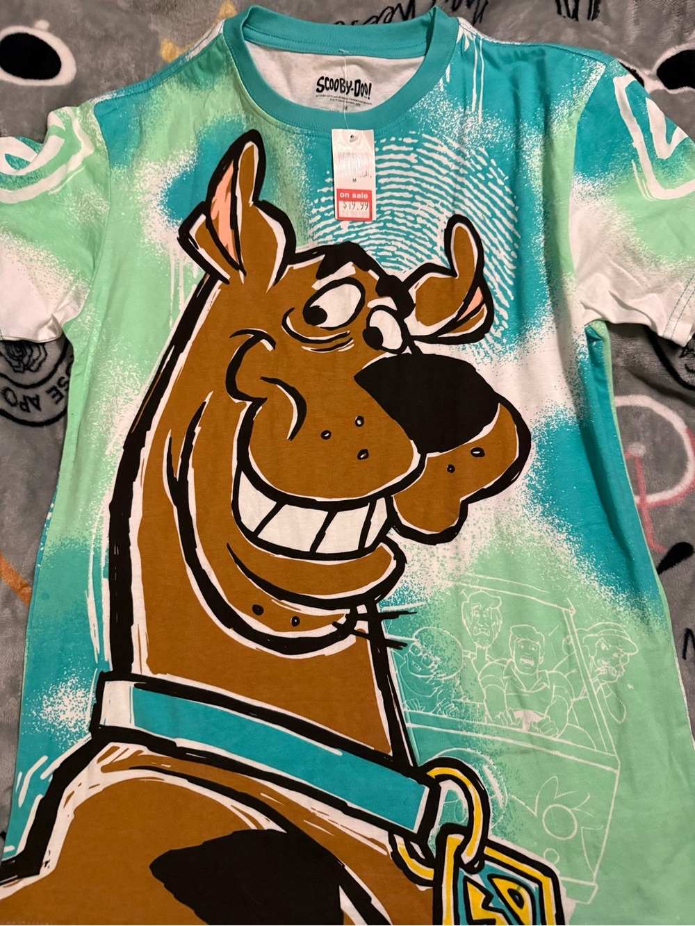 Scooby-Doo Men’s Short Sleeve Graphic Tee - Teal & Brown